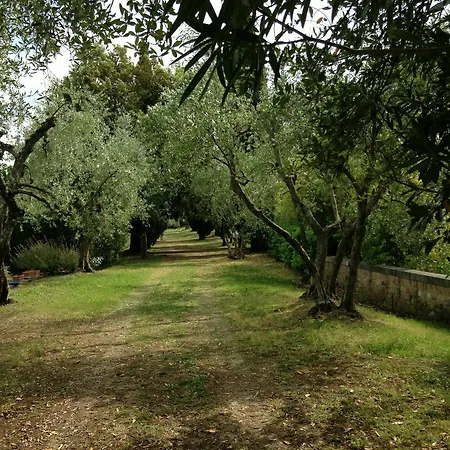 Apartment Fontebenedetta Piscina Natura E Panorama Siena